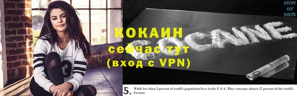 твердый Алексин