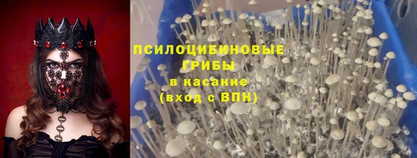 спайс Алексеевка