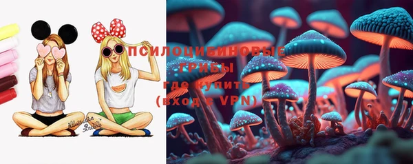 твердый Алексин