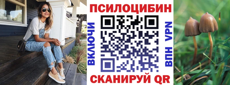 Псилоцибиновые грибы мицелий цены наркотик omg рабочий сайт Ипатово